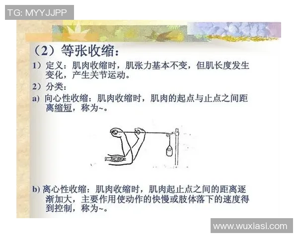 南京篮球队耐力训练揭秘：如何提升球员的持久战斗力与比赛表现